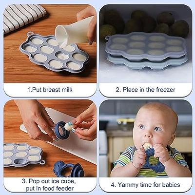 Dilovely Baby Fruit Feeder & Babies Food Freezer Trays with Lid, Pacifier  Feeder, Silicone Food Molds Trays for Homemade Baby Food, Frozen Breast  Milk