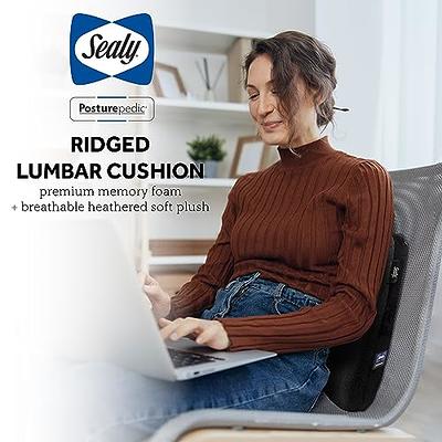 Lumbar Support Cushion - Home & Office