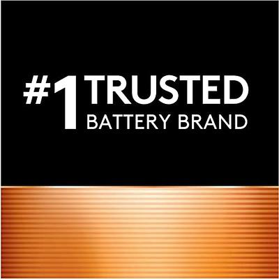 Duracell Rechargeable AAA Batteries, 4 Count Pack, Triple A Battery for  Long-lasting Power, All-Purpose Pre-Charged Battery for Household and  Business Devices 