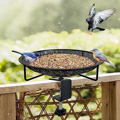 Jaykyfine Window Bird Feeder for Outside - Clear Window Bird Feeders for  Viewing with Strong Suction Cups, Transparent Acrylic Bird Feeder Window