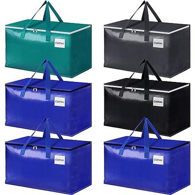  6 Pack Clear Storage Bags with Zipper and Handles