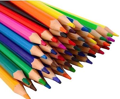 Trail maker Colored Pencils Bulk 100 Packs for Classrooms, Artists, Kids,  Adult Coloring, Colored Pencils in Bulk