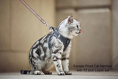 Dooradar Cat Harness and Leash Set, Escape Proof Safe Adjustable Kitten  Vest Harnesses for Walking, Easy Control Soft Breathable Mesh Jacket with