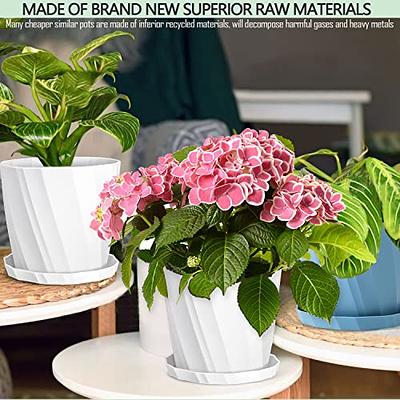 7 Inch Plant Pots, 6 Pack Flower Pots Indoor Outdoor, Decorative Planters  with Drainage Hole and Tray Saucer - Yahoo Shopping