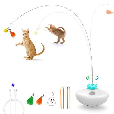 Quirky Kitty Hard Seltzpurr Cat Toy - 2pk : Target