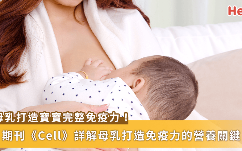 寶寶喝母乳能打造最完整免疫力！《Cell》詳解母乳中營養怎麼補