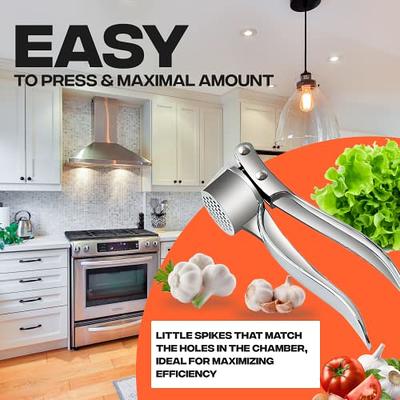 Garlic Press for Kitchen, Ginger Peeler Garlic Crusher