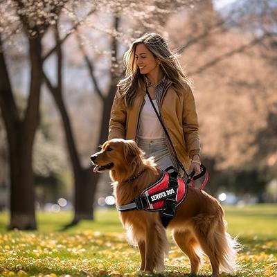 Service Dog Vest Harness and Leash Set, Animire in Training Dog