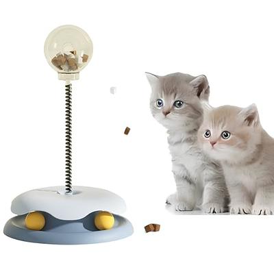 Cat Ball Track with Interactive Cat Feeder Toys Leakage Food Ball