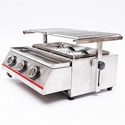 Captiva Designs Portable TableTop Propane Grill with 2 Stainless Steel