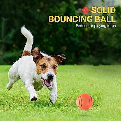 Durable Dog Toys For Aggressive Chewers - Squeaky Balls, Flying