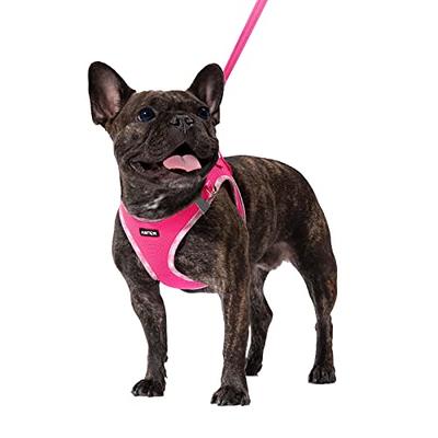 Acquista Nylon Dog Harness Vest Soft Outdoor No Pull Pet Harness for Samll  Medium Dogs French Bulldog