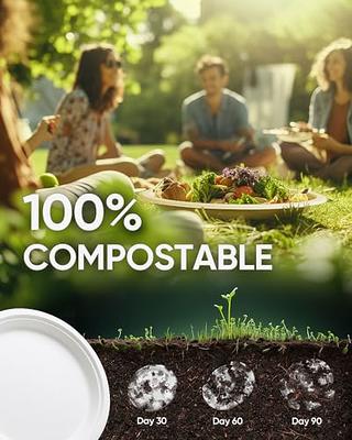 WGCC Paper Plates, 10 Inch Heavy Duty Compostable Disposable Plates, Bulk  Paper Plates Made of Biodegradable Eco-Friendly Bagasse for Party, Wedding