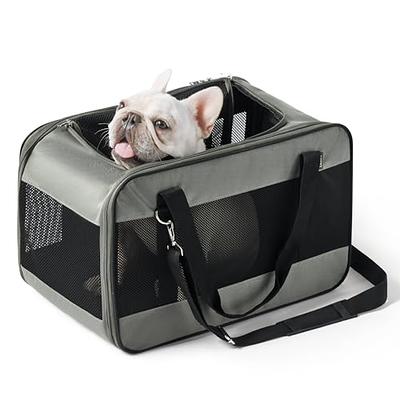 Lesure Cat Dog Carrier Airline Approved - Dog Carrier for Small Dogs  Collapsible Soft Side TSA Approved Travel Pet Carrier for Car, Grey,  17.5x11x11