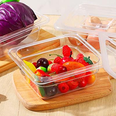 6 Pack 1/4 Size 4'' Deep Clear Food Pans with Lids, Commercial Food Pans  Acrylic Transparent Food Storage Containers, Stackable Plastic Pan with