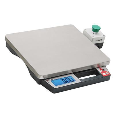 Taylor TS5 5 lb Portion Control Scale, Stainless Steel