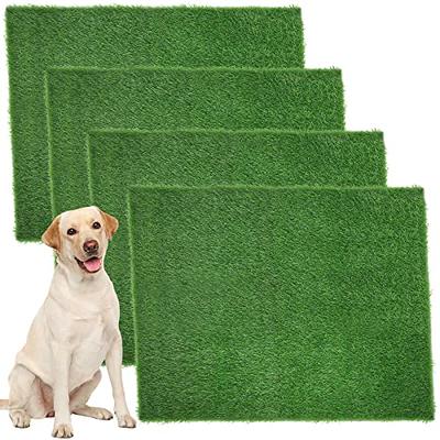 Heavy Duty Absorbent Washable Indoor Outdoor Using Foot Mat Cut