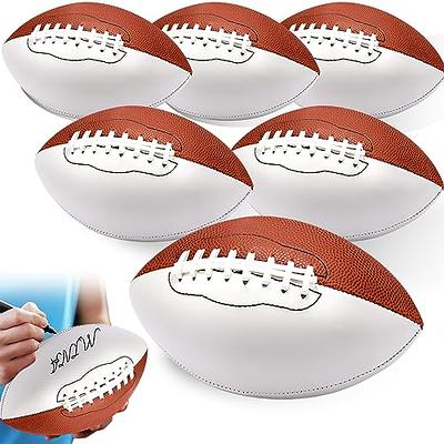 Mini NFL Team Autograph Football