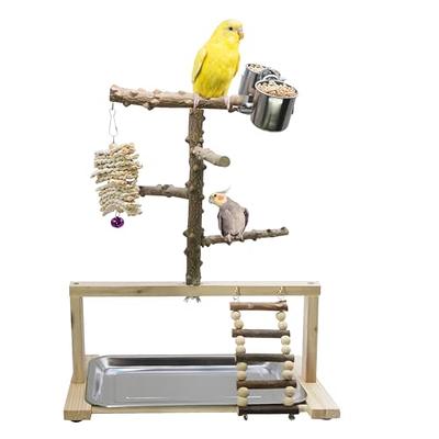 PIAOLGYI Perch for Bird Buddy Smart Bird Feeder,Accessories Compatible with  Bird Buddy Birdfeeder(White)