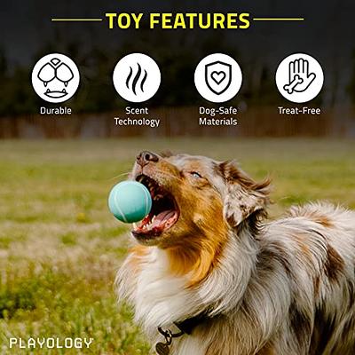 Squeaky Chew Ball Dog Toy - Chicken, Beef, Peanut Butter, and more Flavors  - Playology