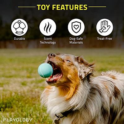 Feeko Dog Chew Toys for Aggressive Chewers Large Breed, Non-Toxic Natural  Rubber Indestructible Dog Toys, Tough Durable Puppy Chew Toy for Medium