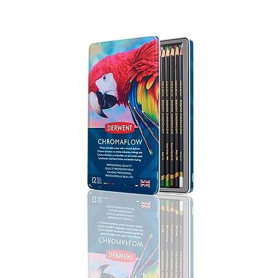 DERWENT 12-piece Pastel Pencil Set