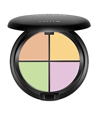 6 Color Cream Contour Powder Concealer Makeup Palette Kit Eyeshadow for  Mature Skin Peach Dark Color Corrector Full Face Professional Color  Correcting