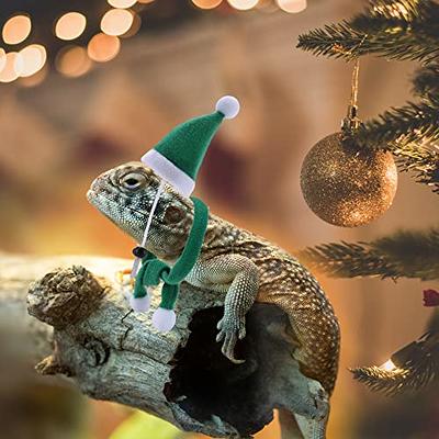 Bearded Dragon Lizards Reptile Hat+Scarf Accessories Toys Christmas Santa  Outfit