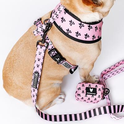 Frenchie Strap Harness - Bad to The Bone | Frenchie Bulldog | French Bulldog Accessories & Apparel