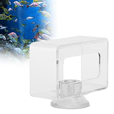 Pssopp Fish Food Feeding Ring Fish Safe Floating Food Feeder Square  Transparent with Suction Cup for Aquarium Fish Tank(S 6x10x4cm) - Yahoo  Shopping
