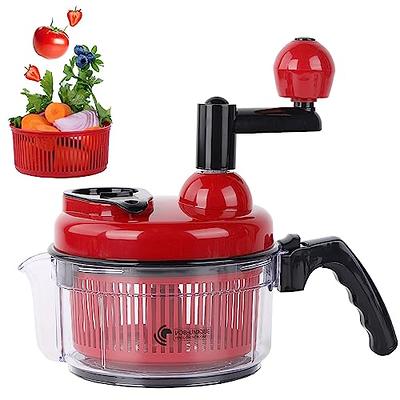 5 in 1 Blender and Food Processor Combo for Kitchen, Small Electric Food  Chopper for Meat and Vegetable, 350W High Speed Blenders with 2 Speeds and  Pulse for Smoothies and Shakes 