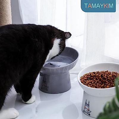 Raised Cat Bowls Cute Tilted Elevated Cat Food and Water Bowls Pet Feeder  Dishes Protect Pet Spine for Small, Medium Cats and Dogs Feeding Supplies