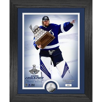 Autographed Tampa Bay Lightning Victor Hedman Fanatics Authentic 16'' x  20'' Blue Jersey Celebrating Photograph