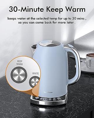 Mecity Tea Kettle Electric Tea Pot with Removable Infuser, 9 Preset Brewing  Programs Tea Maker with Temprature Control, 2 Hours keep Warm, 1.7 Liter