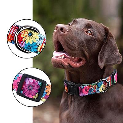 Faygarsle Cute Dog Collar for Girls Boy Dogs Soft Fancy Pet Collar with  Lemon Design Ideal Yellow Green Summer Dog Collar for Small Medium Large  Dogs