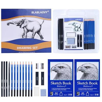 Art Supplies Drawing Pencils, Drawing Kit with 2 Sketch Book, Sketching  Pencils, Graphite Pencils, Charcoal Pencils, Art Kit for Artists Adults  Teens Beginner Kid, Drawing Pencils for Sketching - Yahoo Shopping
