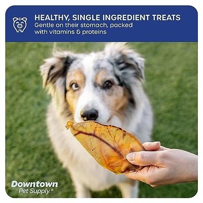 Zesty Paws Dental Bones for Large Dogs - Fights Tartar & Plaque - Gum,  Teeth & Bone Health - Cinnamon for Dog Breath - Immune, Joint, Gut, Skin &  Coat