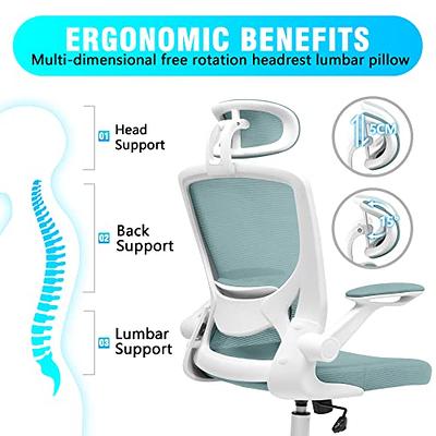 KERDOM Ergonomic Office Chair, Breathable Mesh Desk Chair with Headrest and Flip-Up Arms for Office,Gaming,Computer Lumbar Support Swivel Task Chair