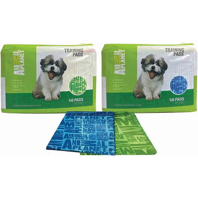 Pet Training Toys - Silicone - Green - Blue - 4 Colors - ApolloBox