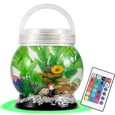 QANVEE Betta Nemo Fish Tank Small Aquarium Starter Kit with Filter and Light Low Iron Ultra Clear Glass 2 Gallon (Saltwater Black)
