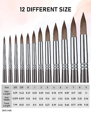 Painting Brushes Set of 12 Professional Round Pointed Tip Nylon