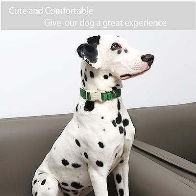 Cute Dog Collars For Small Dogs