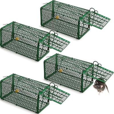 Qualirey 2 Pcs Humane Mouse Trap Live Rat Trap Mice Cage Work for Indoor  and Outdoor Mouse Voles Hamsters Catch and Release (Green)