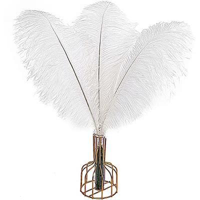 Larryhot White Large Ostrich Feathers - 16-18 inch 10pcs Feathers