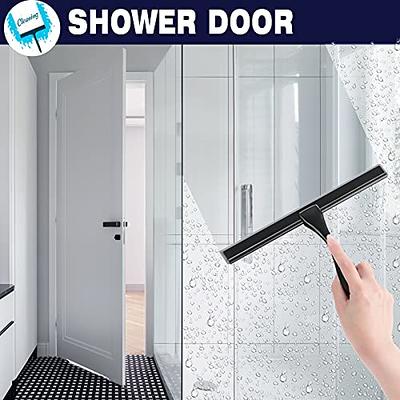  DSV Standard Shower Squeegee for Glass Doors, Squeegee