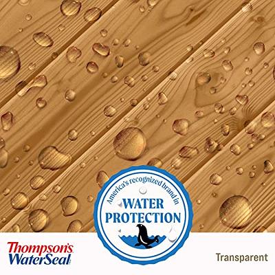 Thompson's WaterSeal Clear Exterior Wood and Sealer (1-Gallon) at