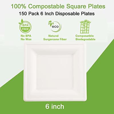 100% Compostable 6 inch Paper Plates, Heavy Duty Paper Plates