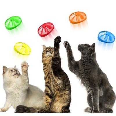 Sumind 18 Pieces Cat Fetch Tracking Interactive Toys with 5 Colors Flying  Propellers for Indoor PET Cat Kitty Training Chasing (Red, Cat) - Yahoo  Shopping