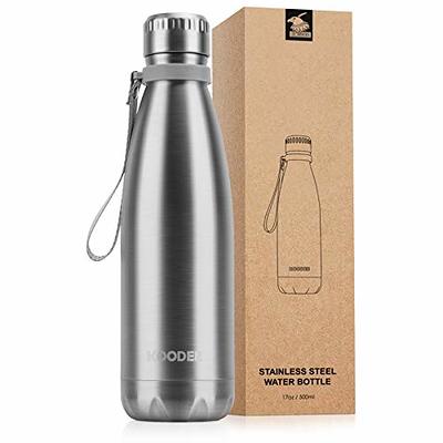 Harry Potter Beacon Stainless Steel Insulated Kids Water Bottle with  Covered Spout, 20 Ounces —