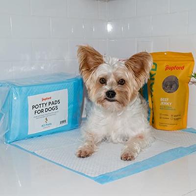 Washable Pee Pads for Dog Training - Potty Buddy™